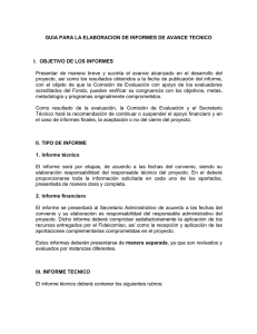 guía para la elaboración de informes de avance técnico