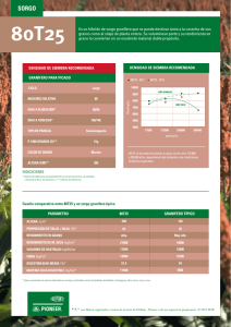 Es un híbrido de sorgo granífero que se puede destinar
