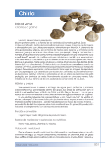 Chirla - FEN. Fundación Española de la Nutrición