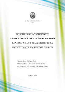 Tesis: Contaminantes, Metabolismo Lipídico y Antioxidantes en Ratas