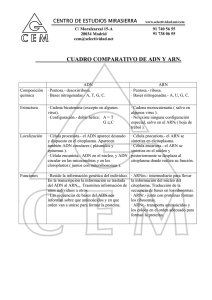 Apunte - Biología - Cuadro Comparativo de ADN y ARN