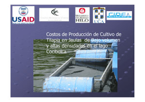 Costos de Producción de Cultivo de Tilapia en Jaulas de Bajo