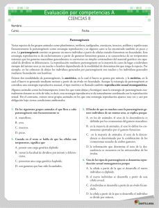 Evaluación por competencias A