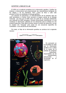 genética molecular - Escola Pia de Gandia