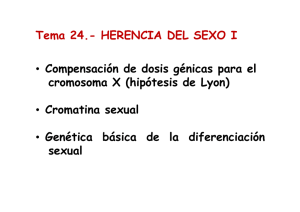 abrir