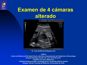Presentación