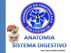 Diapositiva 1 - Paramedicos sin Fronteras SAS