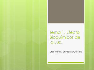 Efectos bioquímicos de la luz