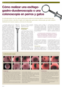 to get the file - OCW - Universidad de Murcia