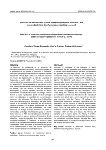 Inducción de resistencia en plantas de sésamo (Sesamum indicum
