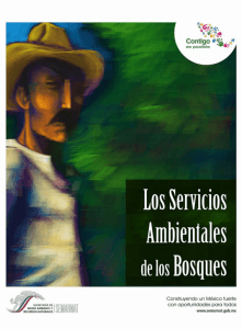 Los Servicios Ambientales de los Bosques