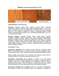 Documento - Universidad del Cauca
