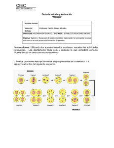 Guía de estudio y Aplicación “Meiosis” Instrucciones