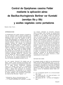 Control de Opsiphanes con Bacillus thuringiensis y Aceites
