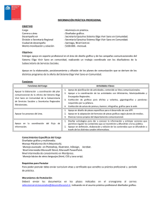 INFORMACIÓN PRÁCTICA PROFESIONAL OBJETIVO Objetivos