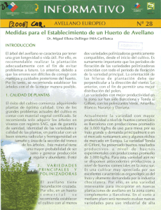 Medidas para el Establecimiento de un Huerto de Avellano