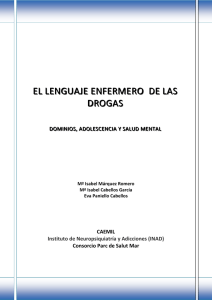 El lenguaje enfermero de las drogas, dominios