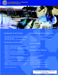 programas de doctorado programas de magister programas docentes