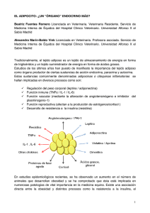 EL+ADIPOCITO+un órgano endocrino más.rtf