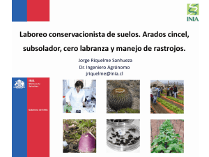 Laboreo conservacionista de suelos. Arados cincel, subsolador