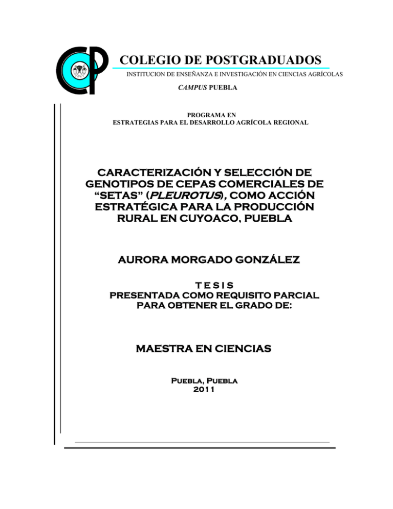 colegio de postgraduados