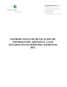 informe notas de revelación de información adicional a los estados