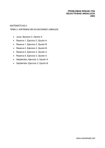Sistemas de Ecuaciones Lineales: Selectividad Andalucía 2004