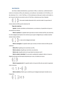 Matrices, Determinantes y Ecuaciones Matriciales - Apuntes