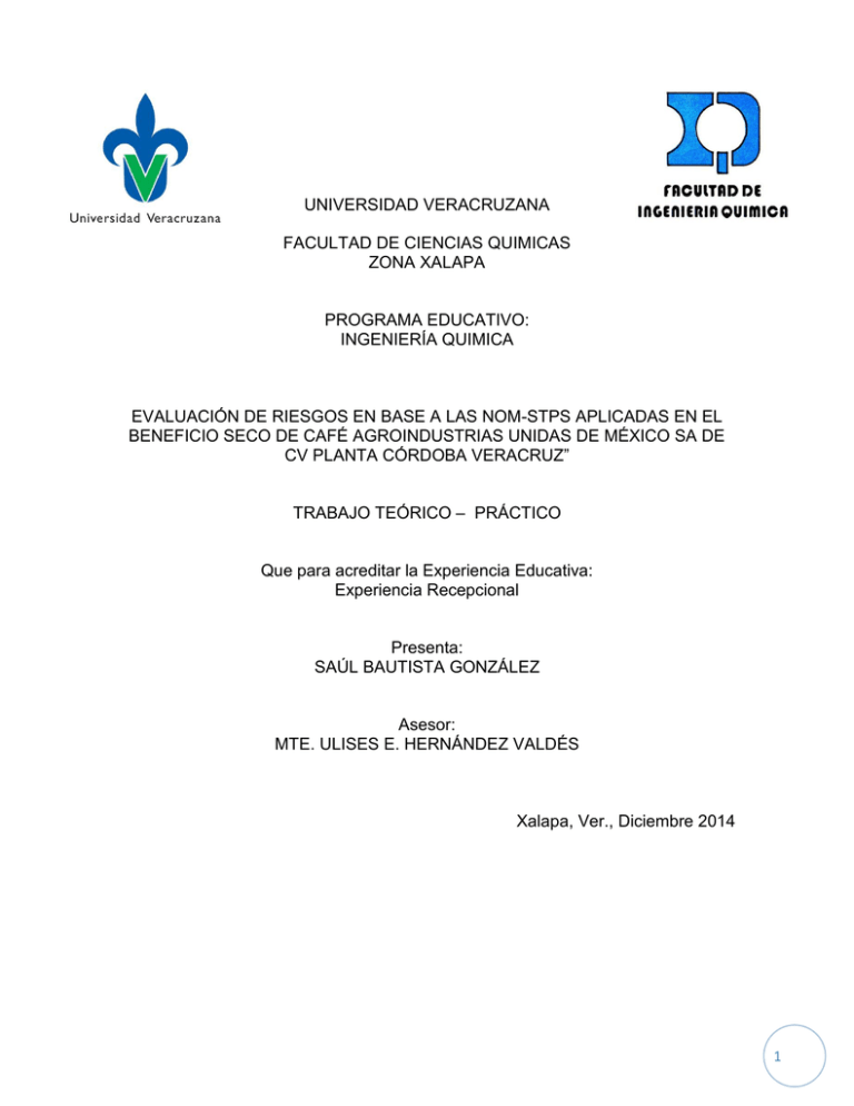Ingenier a Quimica Evaluaci n De Riesgos