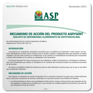mecanismo de acción del producto agrygent