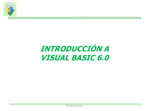 Visual Basic