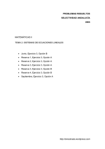 TEMA 2 Sistemas de Ecuaciones Lineales 2005