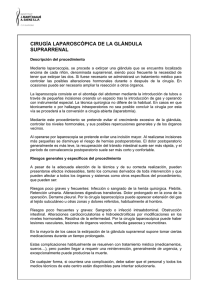 CIRUGÍA LAPAROSCÓPICA DE LA GLÁNDULA SUPRARRENAL