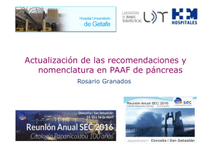 1.8. Dra. Rosario Granados conferencia Guías informes PAAF de