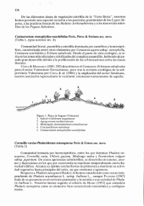 De las diferentes clases de vegetación nitròfila de la "Terra Baixa
