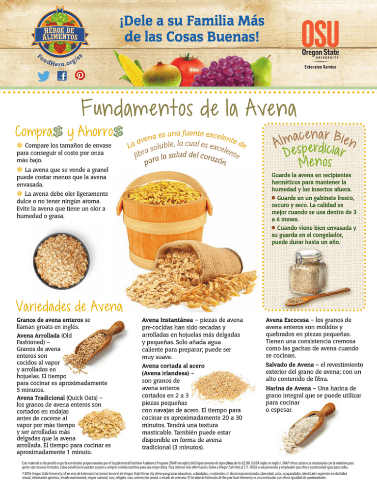 Fundamentos De La Avena