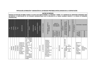 tipificación, estimación y asignación de los riesgos previsibles