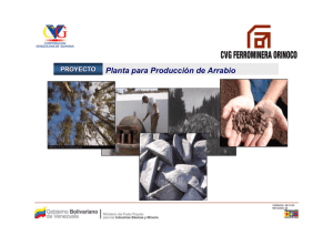 Planta para Producción de Arrabio