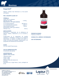 Fosel ED - Lapisa SA de CV