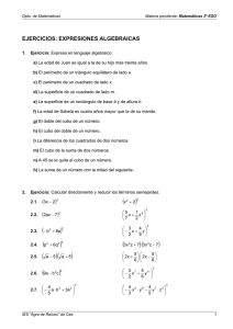 Ejercicios de Álgebra 3º ESO: Expresiones Algebraicas y Polinomios