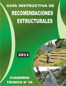 guía instructiva de recomendaciones estructurales
