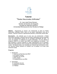 Redes Neuronales Artificiales