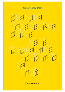 Caja negra que se llame como a mí