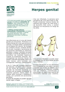 Herpes Genital: Información para Pacientes