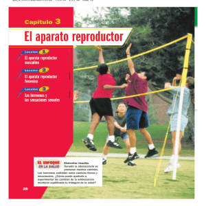 El aparato reproductor masculino