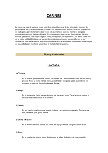 carnes - Tranbel