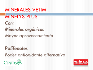 MINERALES VETIM MINELYS PLUS