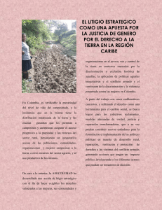 el litigio estrategico como una apuesta por la justicia de genero por
