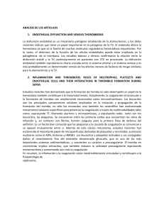 Disfunción Endotelial y Trombosis: Análisis Científico