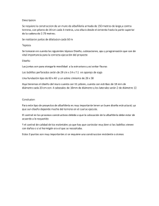 Informe: Construcción de Muro de Albañilería Armada